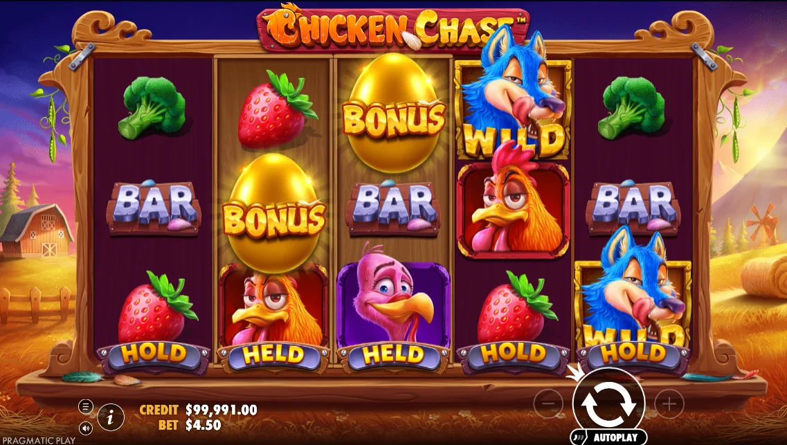 Chicken Chase Game